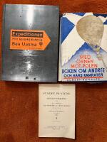 Expeditionen : min k&auml;rlekshistoria (illustrerad utg&aring;va)