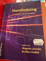Handledning : perspektiv och erfarenheter