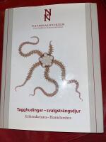 Tagghudingar - svalgstr&auml;ngsdjur. Echinodermata - hemichordata