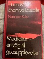 Meditation - en v&auml;g till gudsupplevelse : en praktisk handledning i inre b&ouml;n