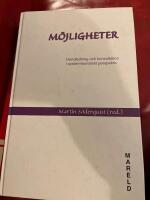 M&ouml;jligheter : Handledning och konsultation i systemteoretiskt perspektiv