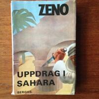 Uppdrag i Sahara
