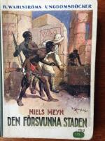 Den f&ouml;rsvunna staden