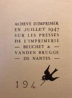 Diki le rouge-gorge enchant&eacute;