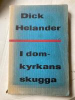 I domkyrkans skugga 