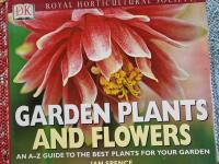 Garden plants and flowers