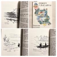 FINN FISKEN I DALARNA. En Fiskeguide.