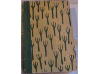 P&aring; &auml;lghyttan