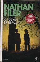 Chocken efter fallet