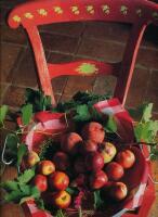 Lustg&aring;rd - Ett hus fullt av f&auml;rger