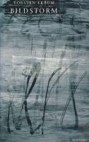 Bildstorm