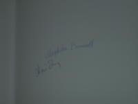 Old Rasmus & Old Tjikko : sagan om tv&aring; urgamla fj&auml;llgranar