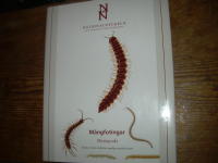 M&aring;ngfotingar: Myriapoda klotband