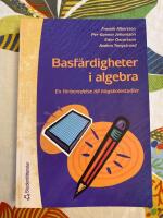 Basf&auml;rdigheter i algebra &ndash; En f&ouml;rberedelse till h&ouml;gskolestudier
