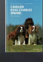 Cavalier king charles spaniel