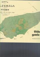 Bilder fr&aring;n gamla Nybro