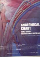 Anatomical Chart Health Care Education Collection