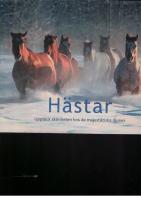 H&auml;star : uppt&auml;ck sk&ouml;nheten hos de majest&auml;tiska djuren