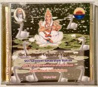 Shri Saraswati - Gyānmayi Vigyānmayi 
