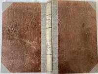 Lustarnas v&aring;deld : en biografi i fyra livsskeden 