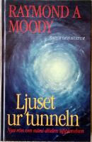 Ljuset ur tunneln : nya r&ouml;n om n&auml;ra-d&ouml;den-upplevelse 