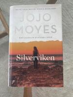 Silverviken
