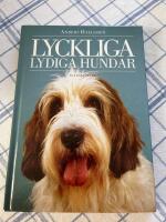 Lyckliga lydiga hundar