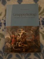 Gruppsykologi : om grupper, organisationer och ledarskap