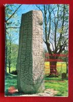 De stungna runorna [Elektronisk resurs] Anv&auml;ndning och ljudv&auml;rde i runsvenska steninskrifter