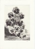 FOLKE GULLBYS GRAFIK