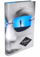 The traveller - Vandraren