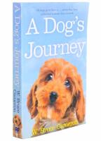 Dogs journey