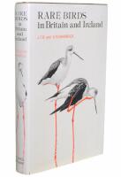 RARE BIRDS in Britain and Ireland