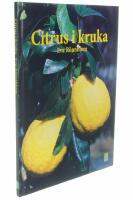 Citrus i kruka