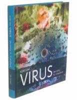 Kort om virus