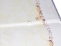 Camargue V&aring;r del av Provence