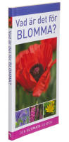Vad &auml;r det f&ouml;r blomma?