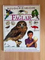 F&aring;glar - [uppt&auml;ck v&aring;r fantastiska v&auml;rld i bild och ord]