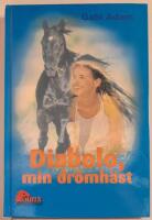 Diabolo, min dr&ouml;mh&auml;st