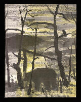 V&aring;rn&auml;tter och vildmarksliv