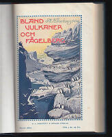 Bland vulkaner och f&aring;gelberg. Reseminnen fr&aring;n Island och F&auml;r&ouml;arna. I-II
