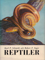 Reptiler