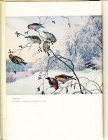 Suomen luonto vuodenaikojen vaihtelussa. 141 valokuvva, 25 karttaa ja piirrosta. 