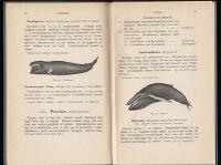 Sveriges ryggradsdjur. I-III (komplett)