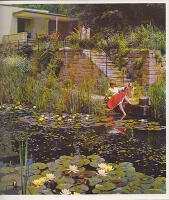 Min tr&auml;dg&aring;rd, mitt paradis. Tr&auml;dg&aring;rdar fr&aring;n hela v&auml;rlden