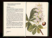 L&auml;kev&auml;xter