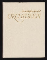 ... die sch&ouml;nsten aber sind Orchideen