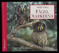 &Aring;ret om i f&aring;gelmarkerna