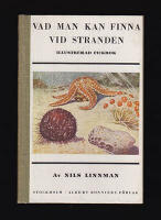 Vad man kan finna vid stranden