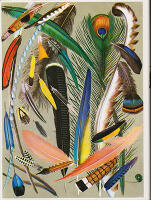 F&aring;glarnas liv. Grundl&auml;ggande handbok f&ouml;r ornitologer